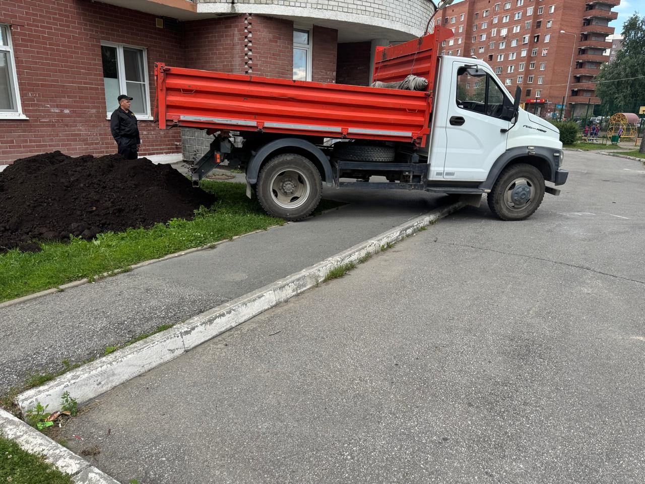 земля 2.jpeg